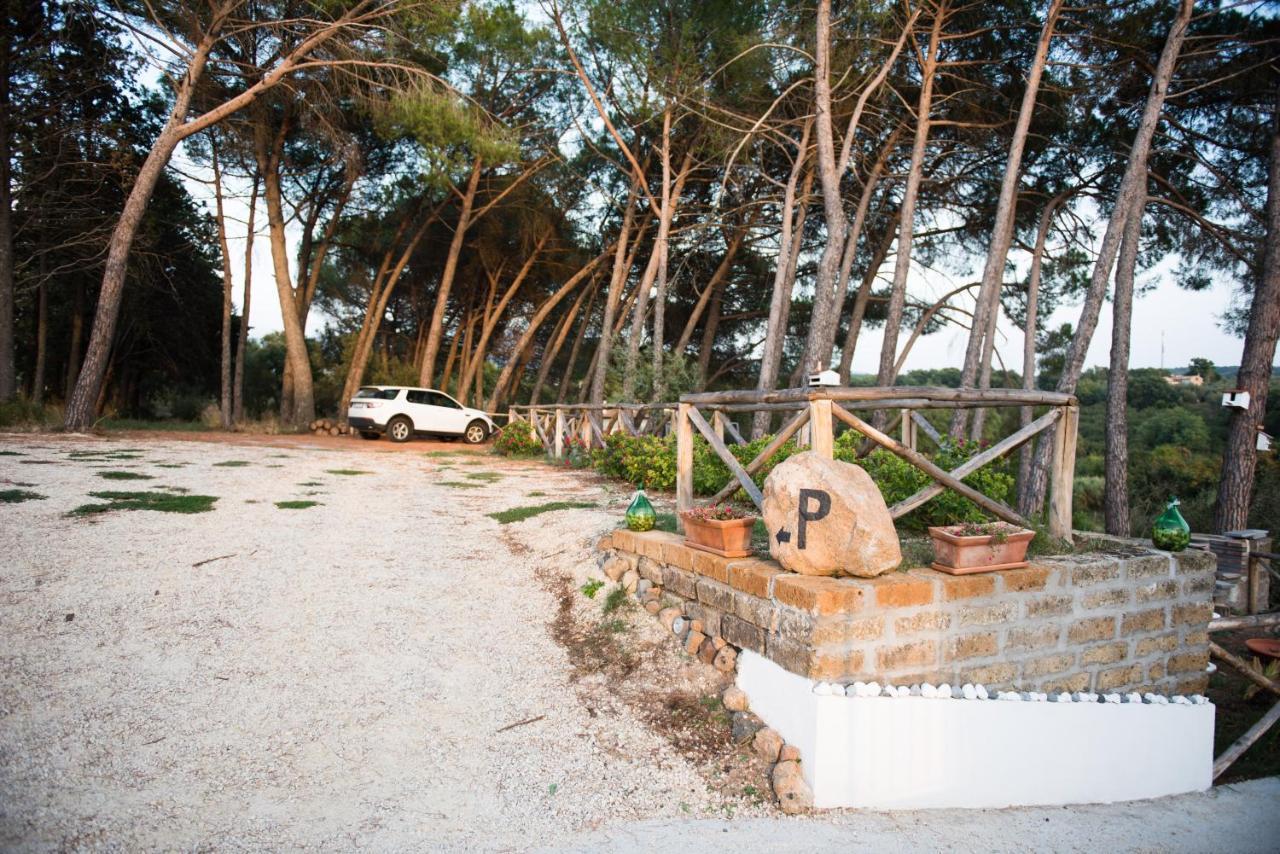 Le Terrazze Di Casa Bonelli Acomodação com café da manhã Vetralla Exterior foto